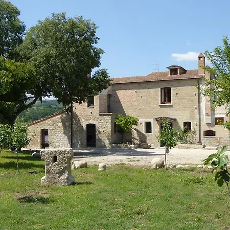 Pietre Di Fiume * Apice