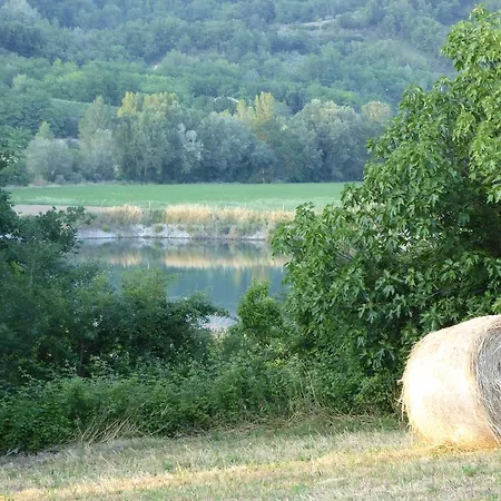 Pietre Di Fiume * Apice